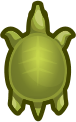 Soft Turtle
